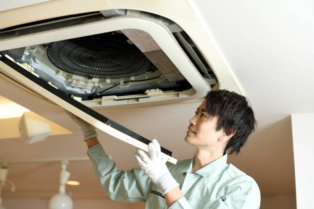 Best Air Duct Sanitizing Services  in Wooster, AR