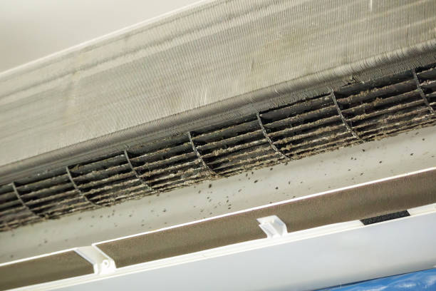 Best Affordable Air Duct Cleaning  in Wooster, AR